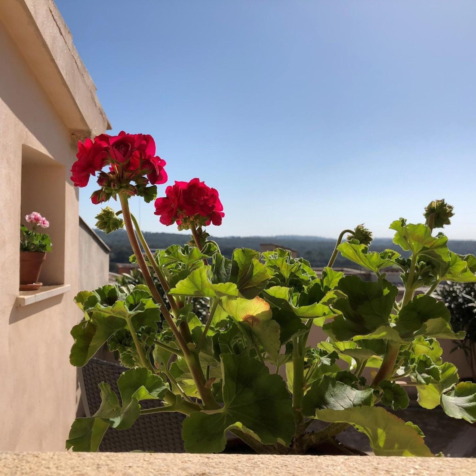 يوبي Vista De La Vila - Turismo De Interior. الغرفة الصورة