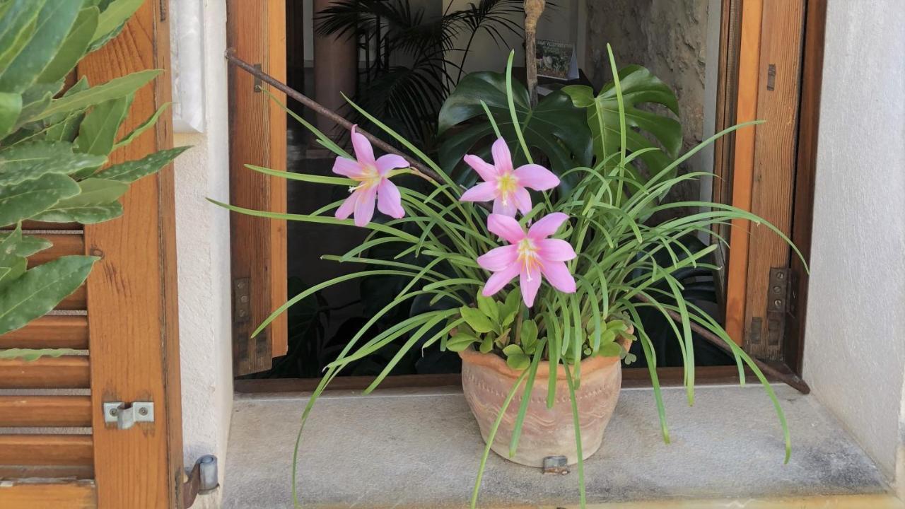 يوبي Vista De La Vila - Turismo De Interior. المظهر الخارجي الصورة